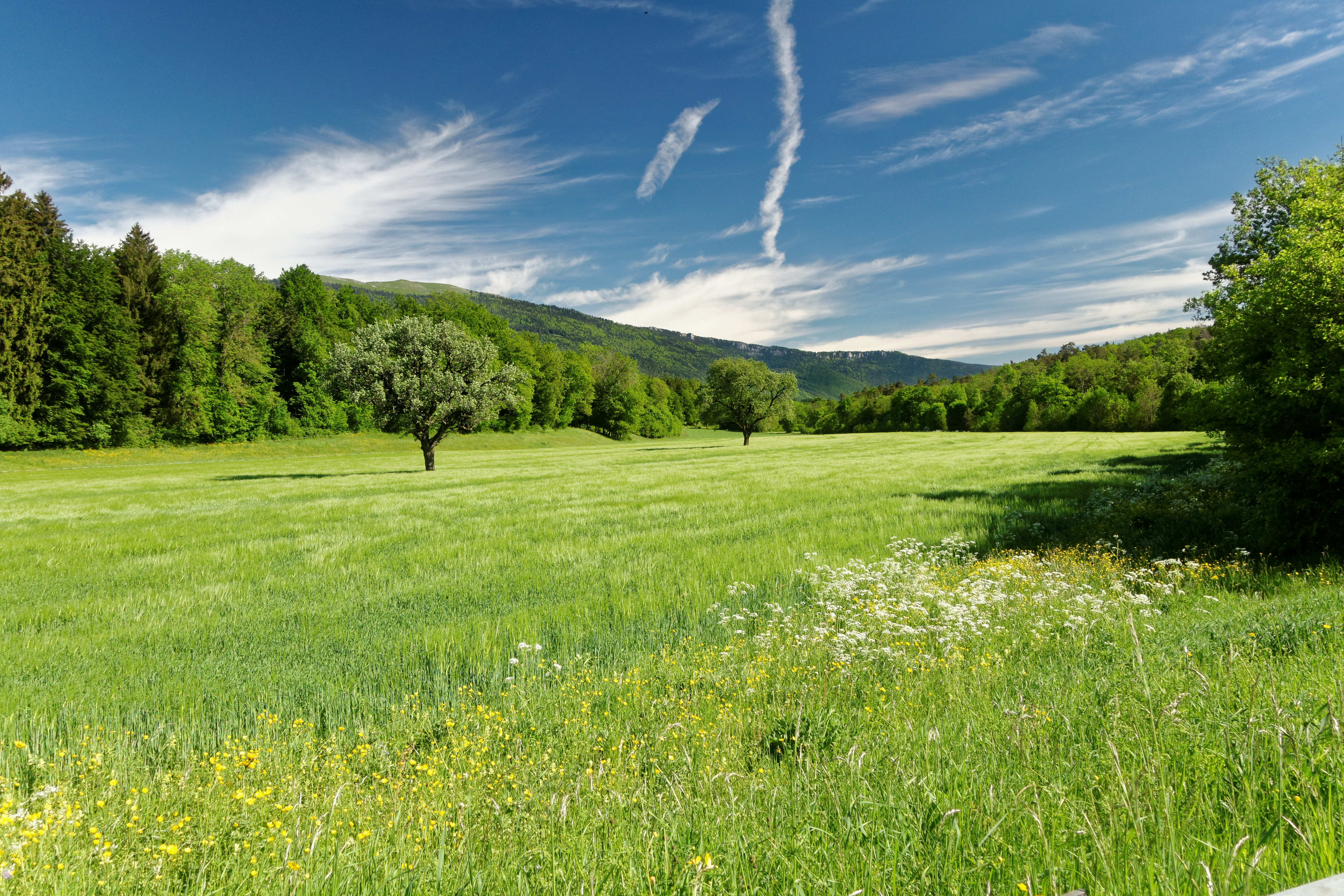 Pay de Bray : le concours général Agricole met en avant des pratiques agroécologiques