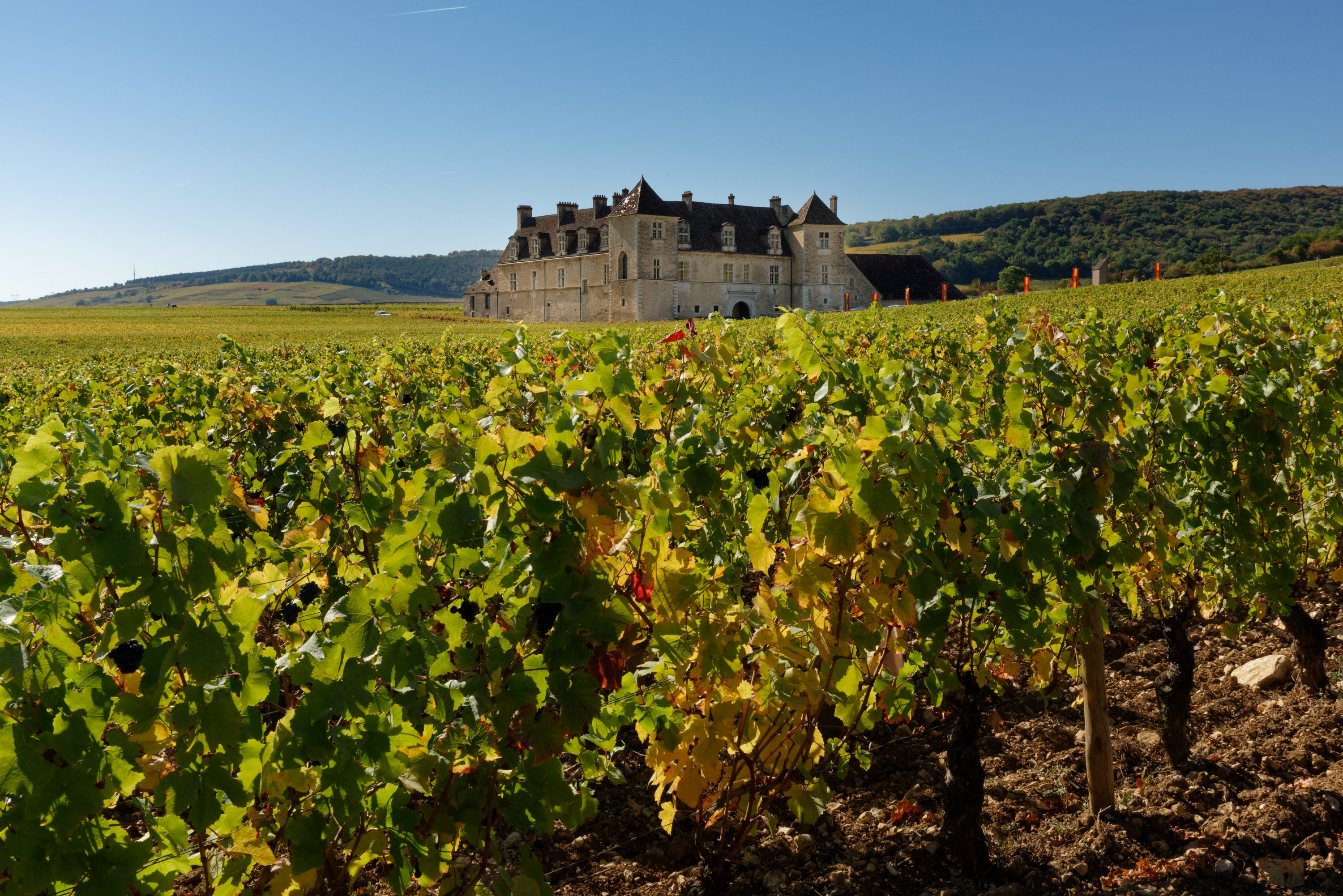 Le festival Musique & Vin au Clos Vougeot revient pour une 18ᵉ édition