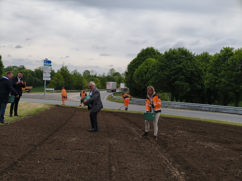 Somme : un fleurissement étendu, écologique et économique des ronds-points