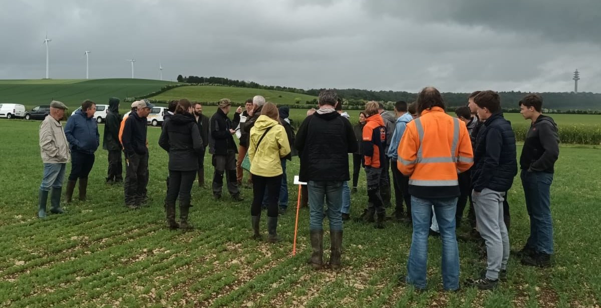 Meuse : les cultures de légumineuses biologiques au cœur des échanges techniques agricoles