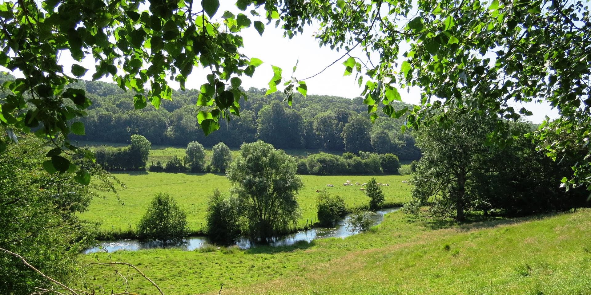 Terroir-de-Caux : 50 millions d'euros d’investissements en eau et assainissement