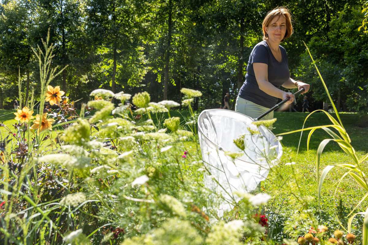 Nancy, ville expérimentale du projet de recherche UrbLoom