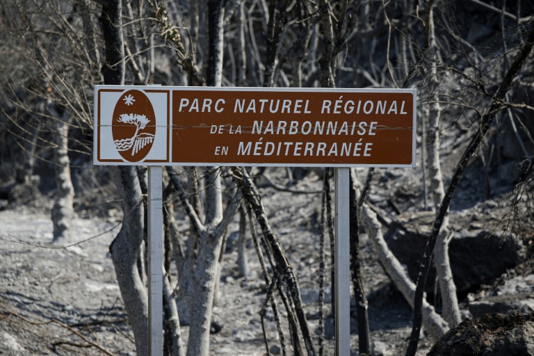 Trois agents de l'ONF en garde à vue dans l'enquête sur l'incendie de Ribaute (Aude) en août 2025