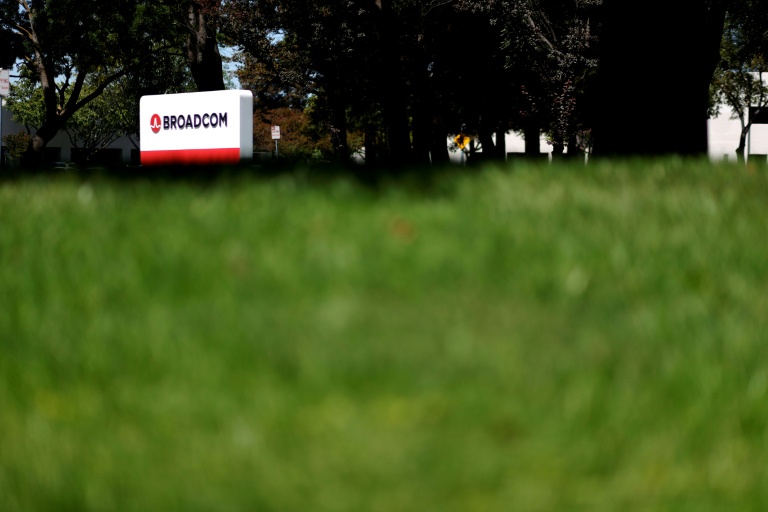 ZOOM Les valeurs de l'IA sous pression en Bourse après les résultats de Broadcom