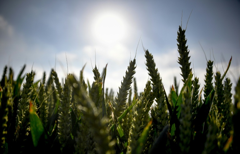 Climat: la France est devant 