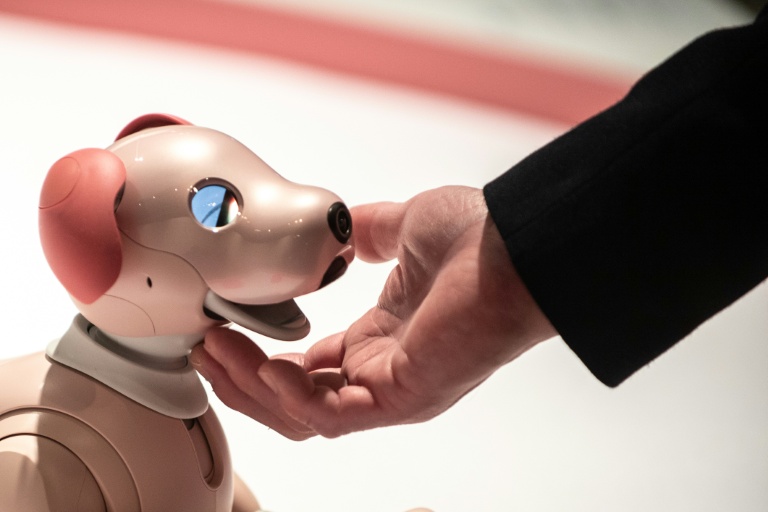 Sony arrête la vente de son chien robot 
