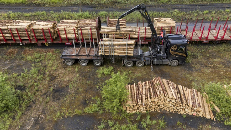 Climat: les puits de carbone se réduisent en France, alerte l'association Canopée