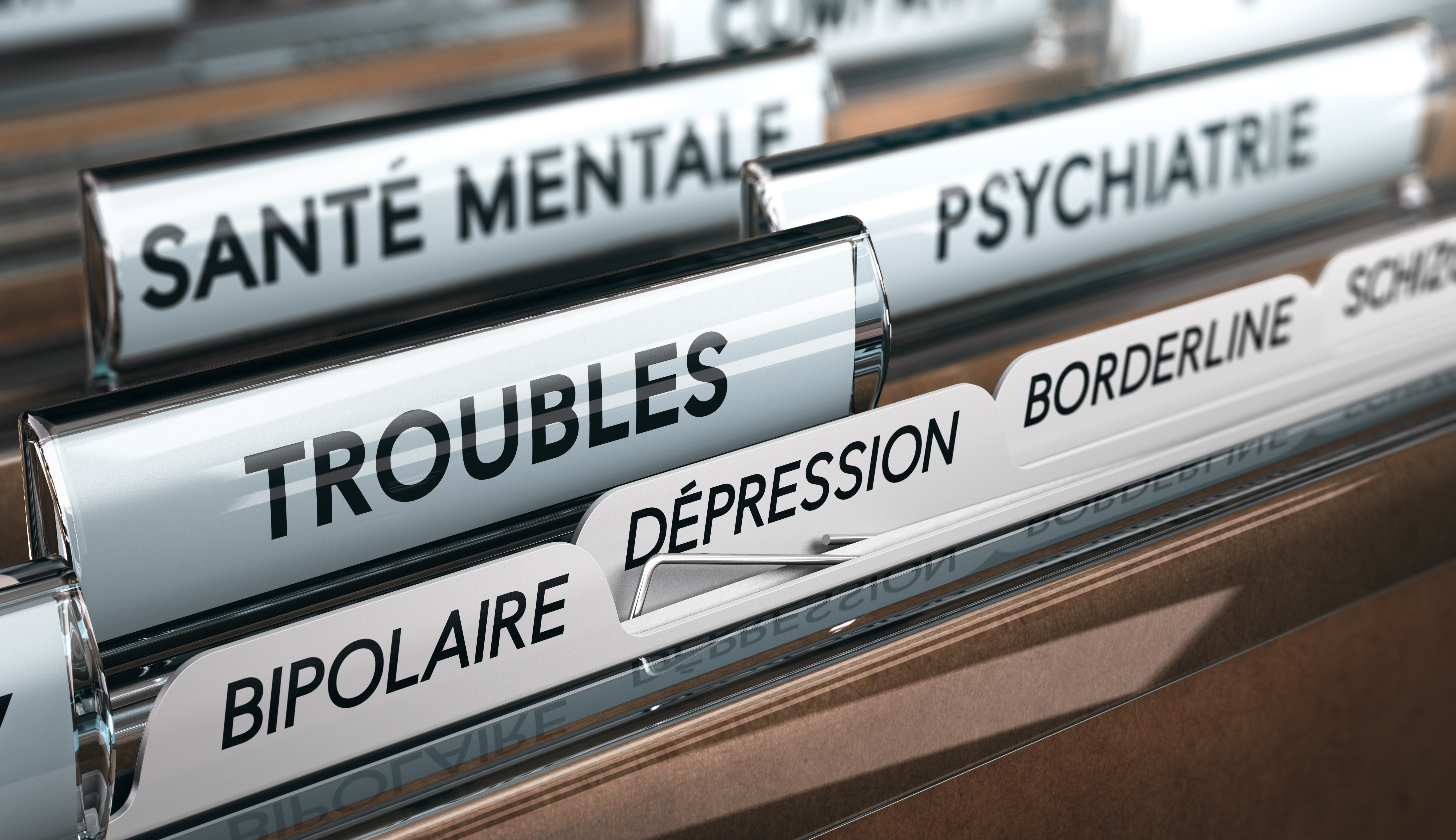 Le CH La Chartreuse inaugure la MAS des Sources, dédiée au handicap psychique
