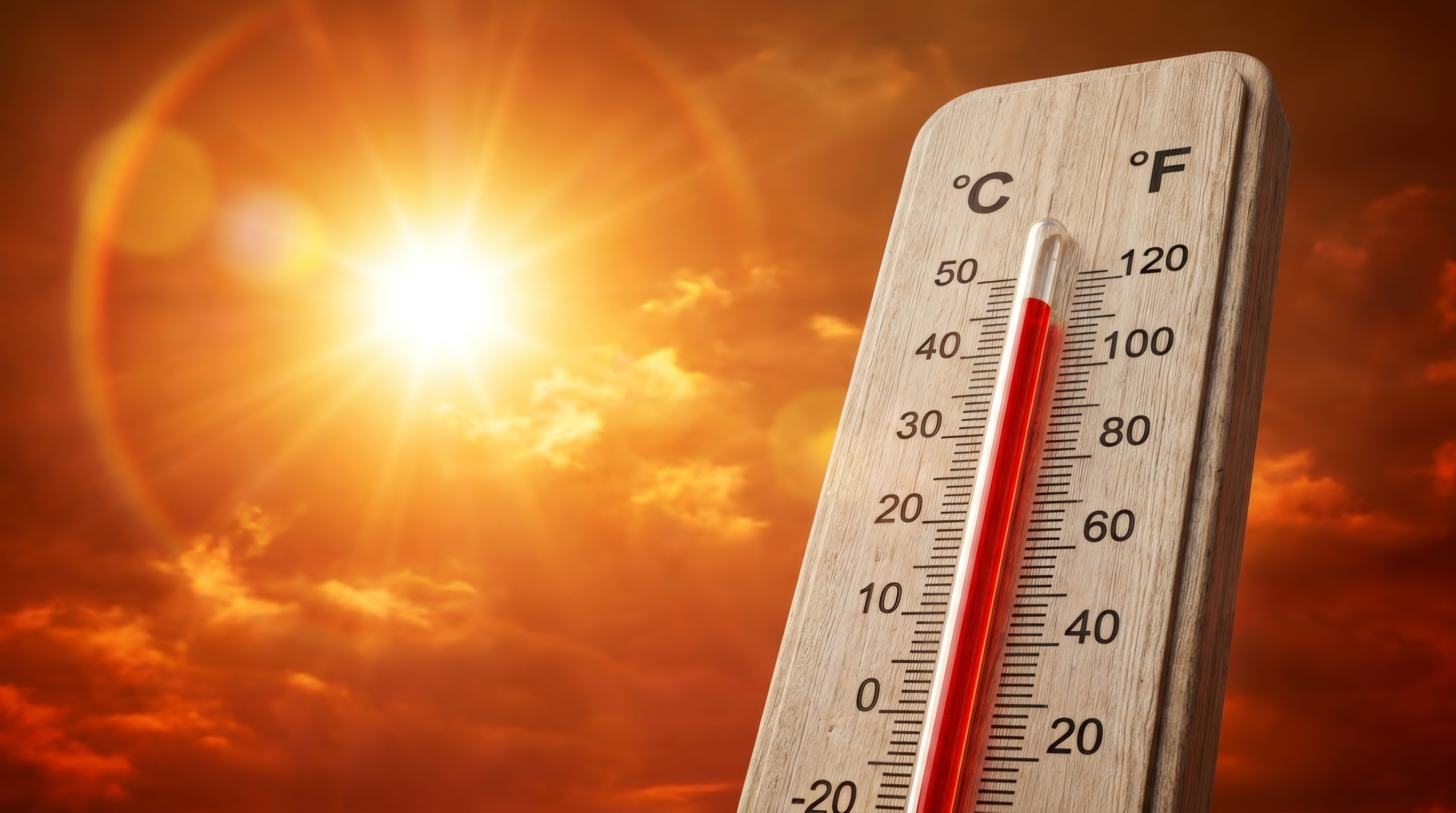 Canicule : Talant déploie un plan d’action renforcé pour protéger ses habitants