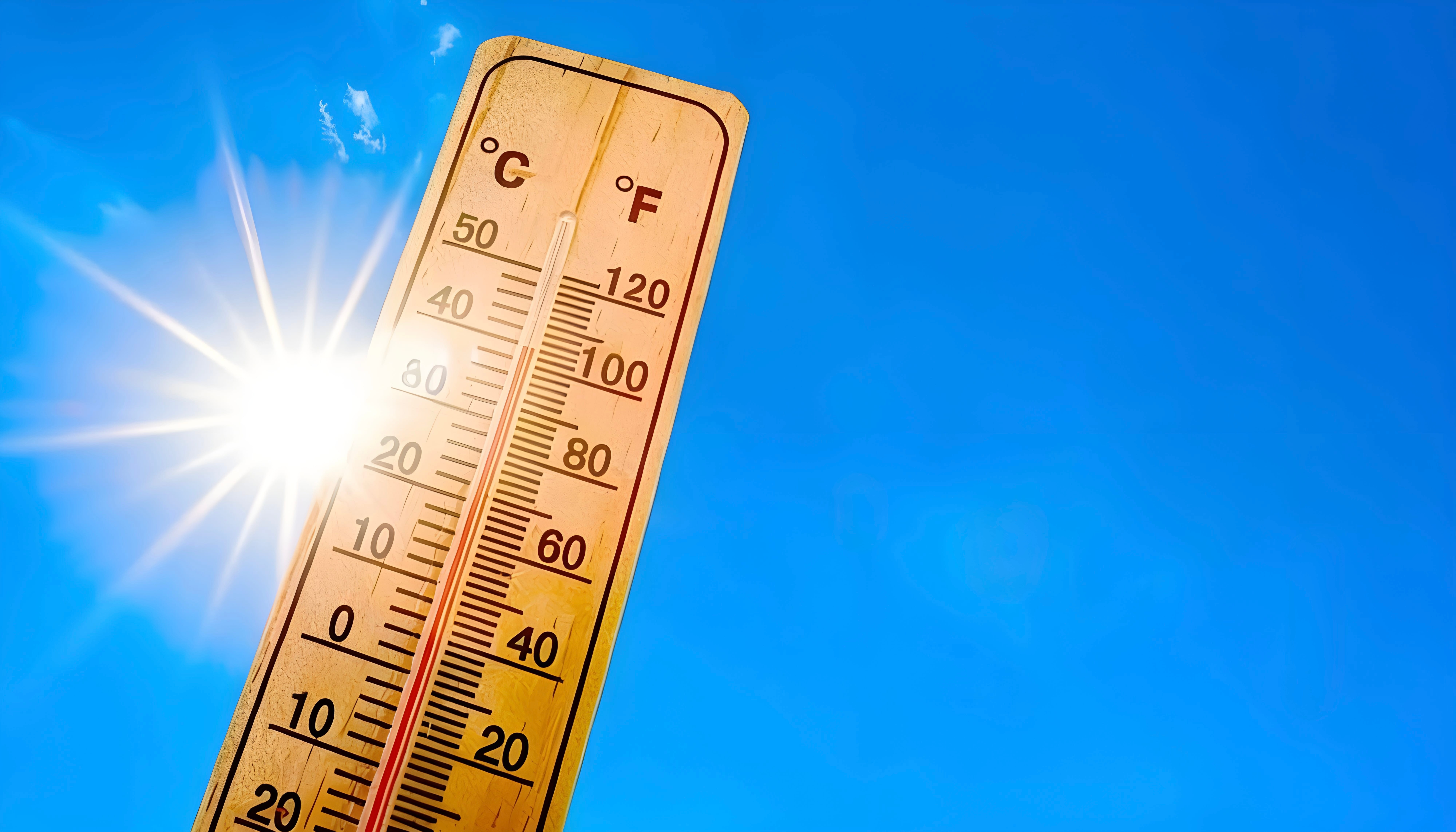 Canicule en Meuse : l’économie locale sous pression face à une chaleur historique
