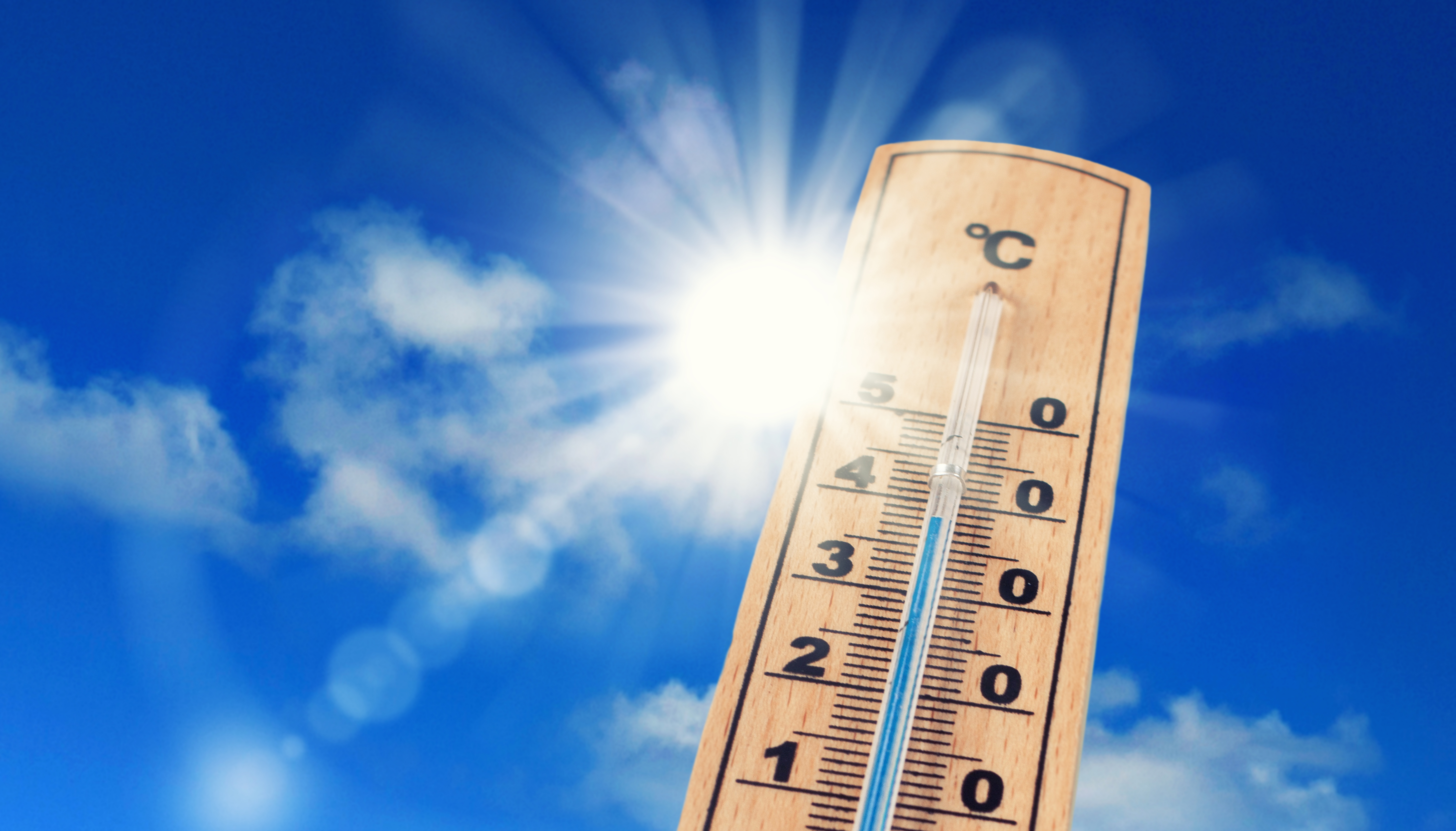 Canicule : la Côte-d'Or maintient sa vigilance face à des températures toujours élevées