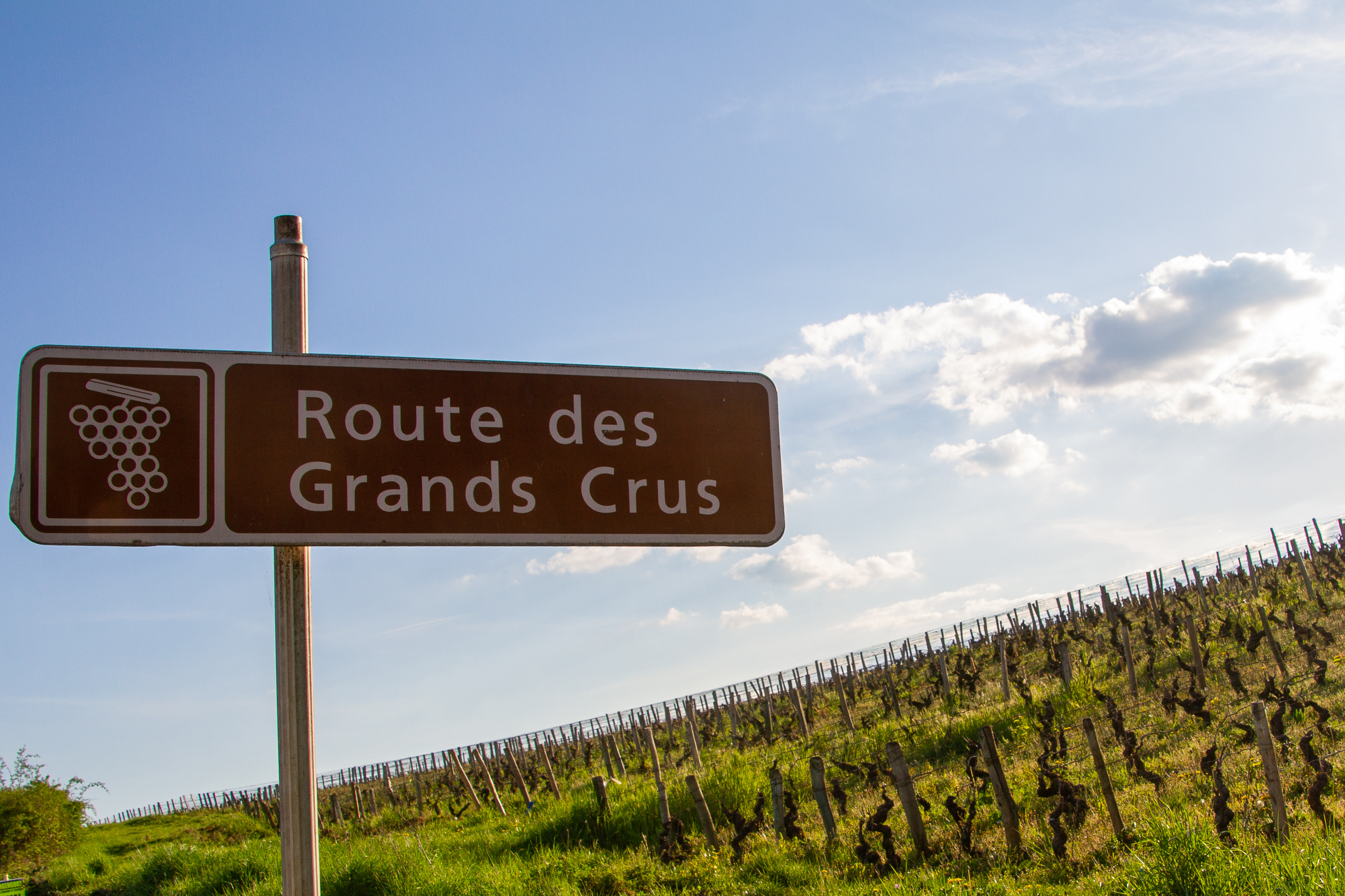 La Route des Grands Crus de Bourgogne se prépare à célébrer ses 90 ans