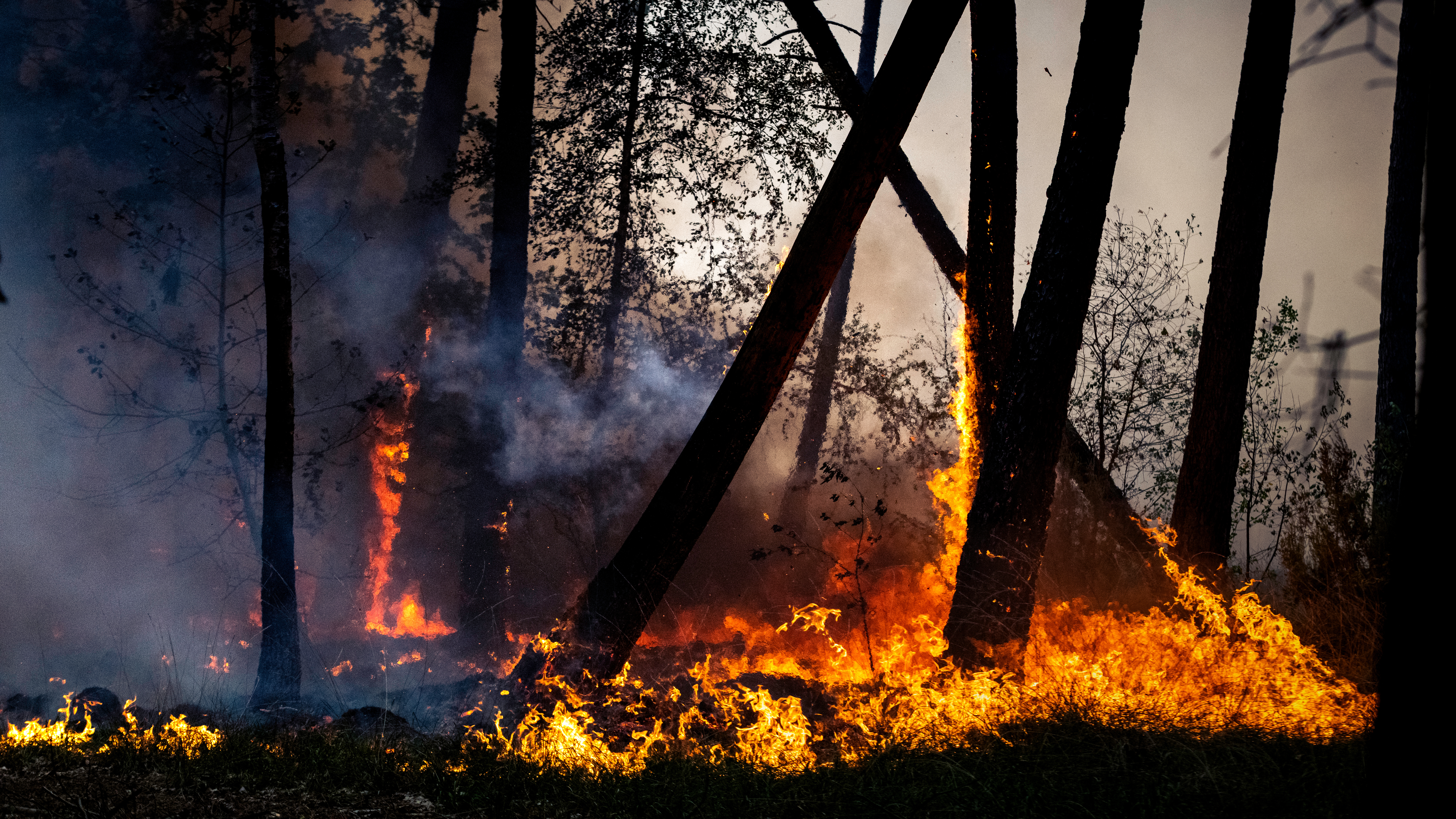 Saône-et-Loire : renforcement des moyens contre les feux de forêt