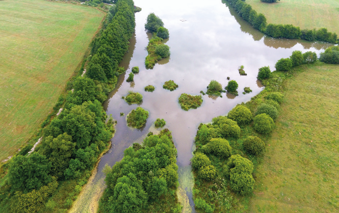 Meuse : les Espaces Naturels Sensibles au cœur d’une journée dédiée à la biodiversité en Argonne