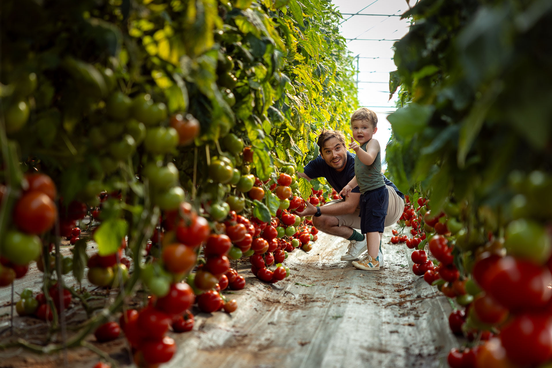 Oise : des cueillettes pour consommer mieux et moins cher