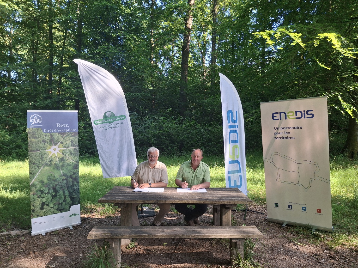 Forêt de Retz : Enedis et l’ONF s’unissent pour lutter contre une espèce exotique envahissante