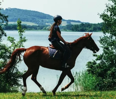 La Meuse mise sur l’histoire et l’outdoor pour attirer les visiteurs en 2026
