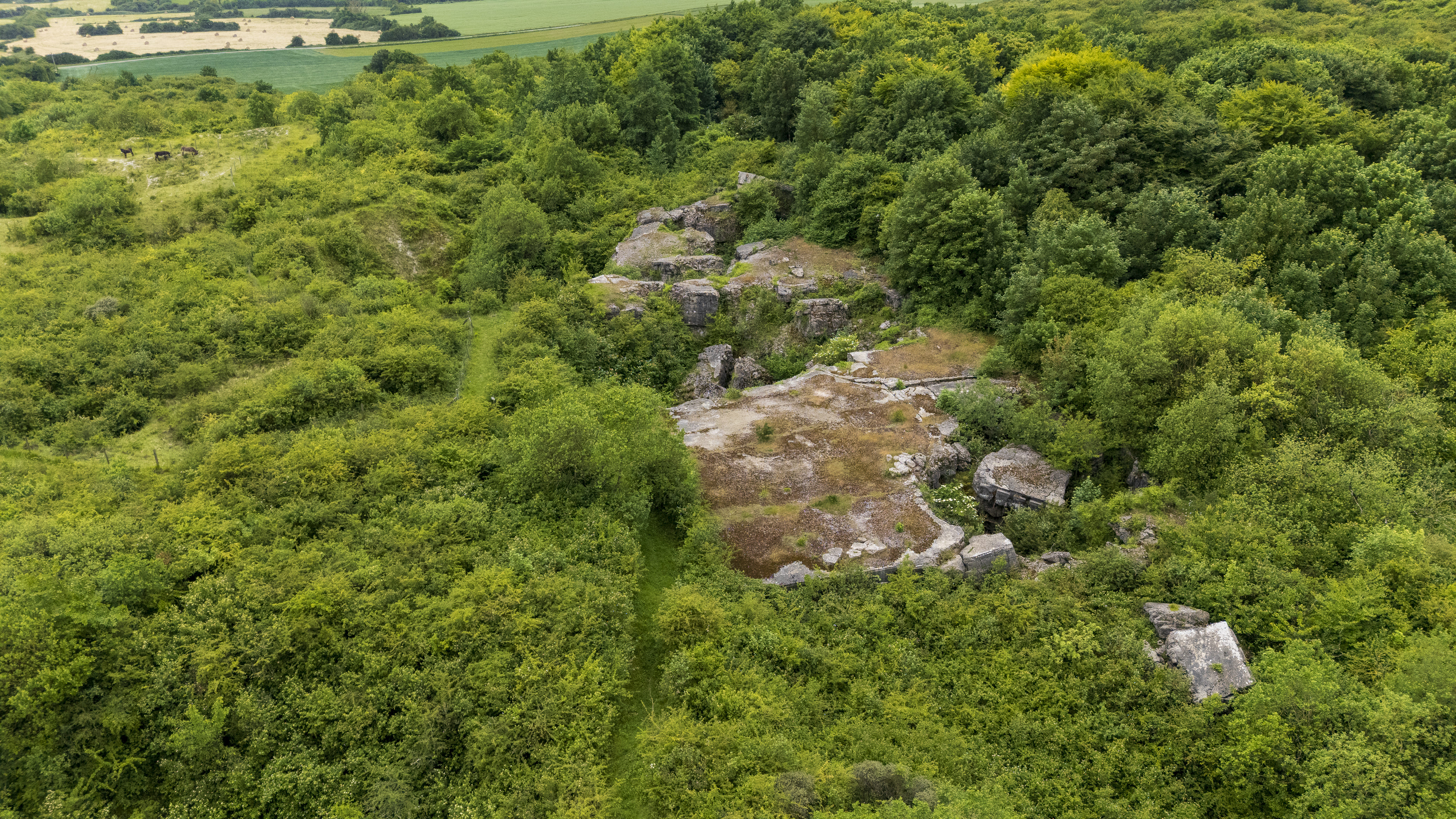 La forteresse de Mimoyecques, plongée au cœur d'un projet fou de la Seconde Guerre mondiale
