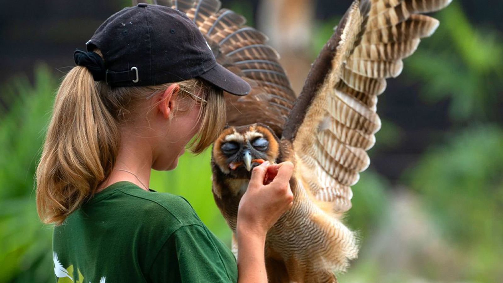 Amnéville : le zoo conserve ses deux étoiles au Guide Vert Michelin