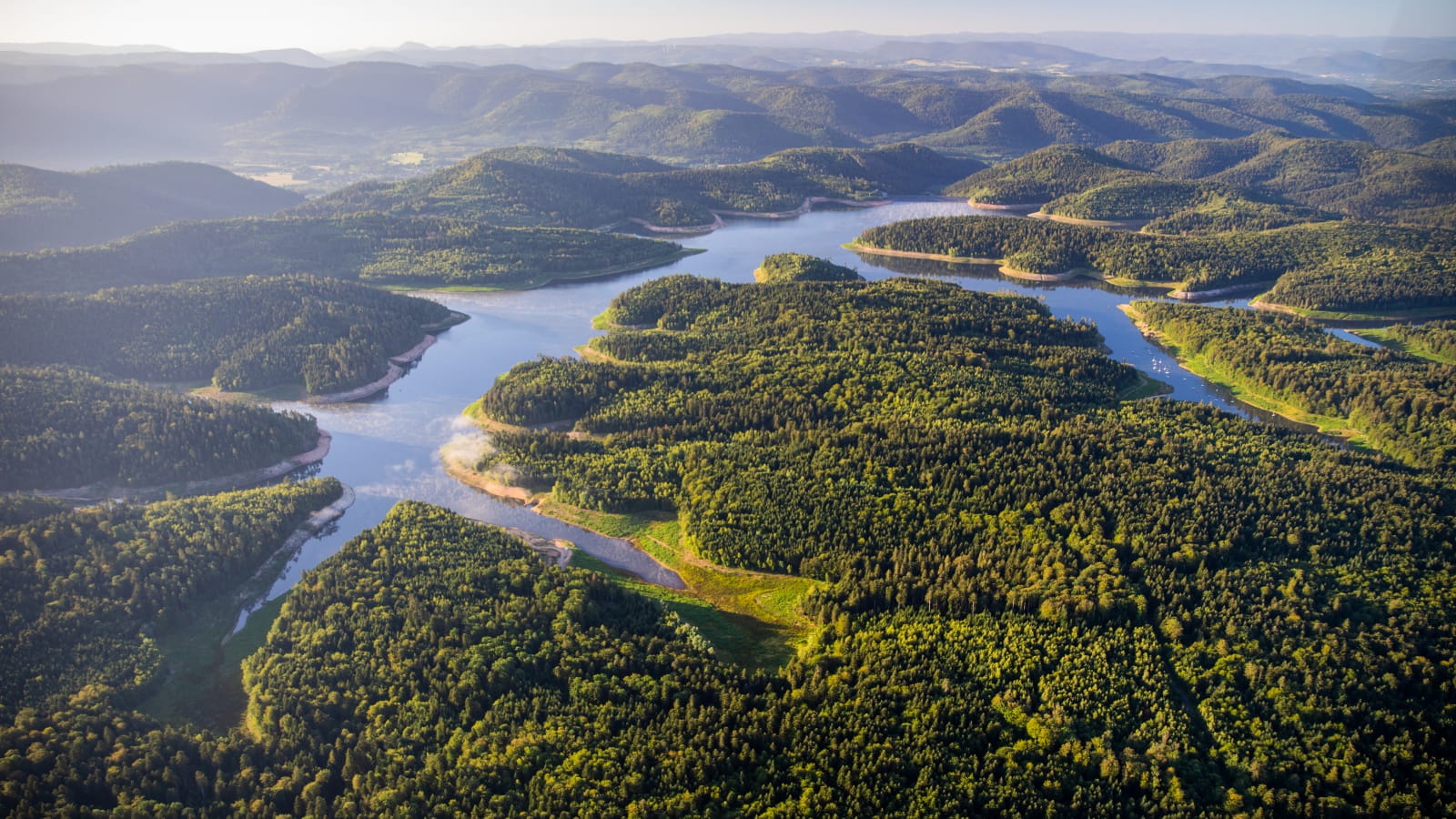 La Fondation de France Grand Est au chevet du Massif des Vosges