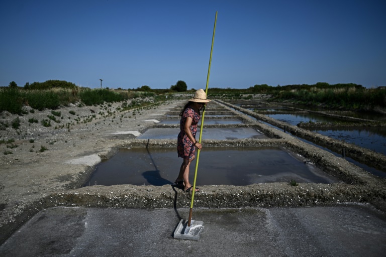 Climat: face aux submersions, l'île d'Oléron ravive ses marais salants
