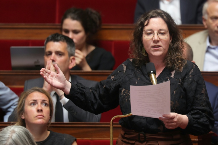 Gestion des canicules : Les Ecologistes ont déposé leur motion de censure