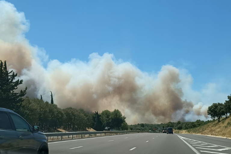 Un incendie parcourt 540 hectares dans le Gard, l'A9 partiellement fermée