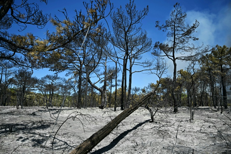 Incendies: un homme en garde à vue pour neuf départs de feu dans l'Hérault