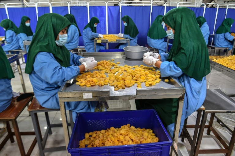 En Afghanistan, des femmes contraintes de quitter l'Iran retrouvent espoir en travaillant