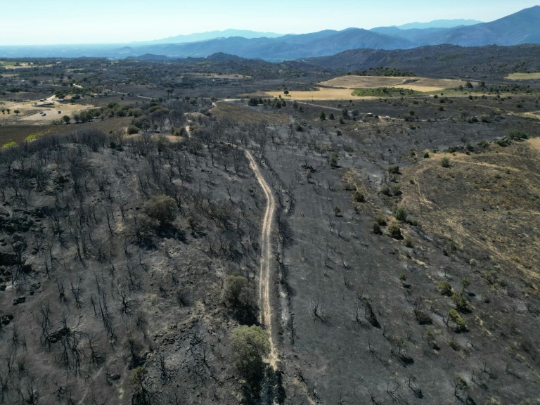Incendies: 32 personnes suspectées d'être à l'origine de départs de feu interpellées, annonce Nuñez