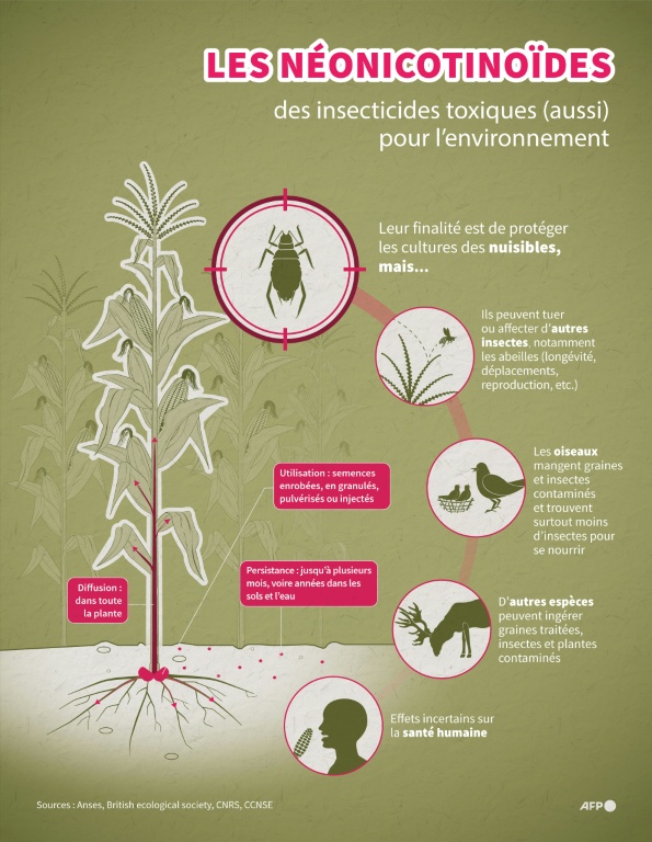 Insecticides: une ONG dénonce des traces d'acétamipride dans le Nutella et le miel