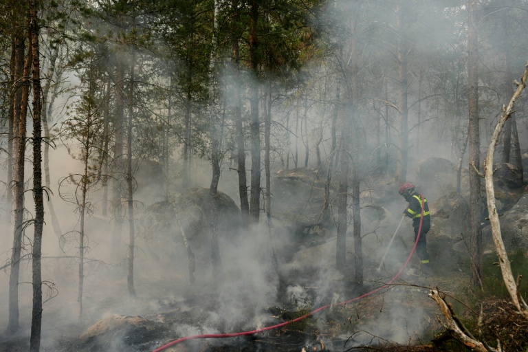 Dans la forêt de Fontainebleau, les feux ont parcouru un peu plus de 2.000 hectares