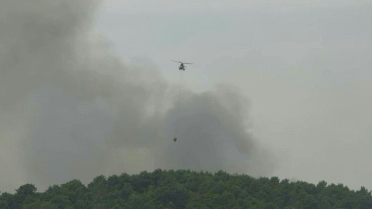 Forêt de Fontainebleau: les pompiers cherchent à contenir les reprises de feu, une nouvelle garde à vue