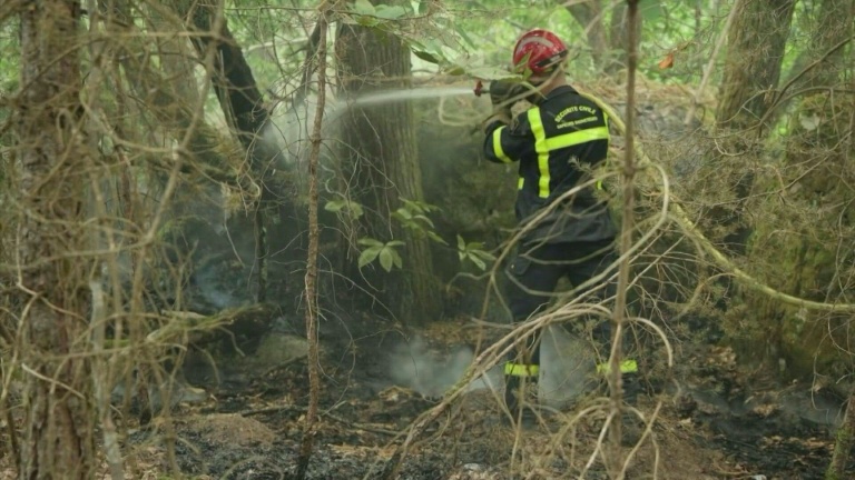 Incendie de Fontainebleau : 