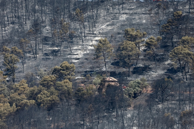 Incendies: 