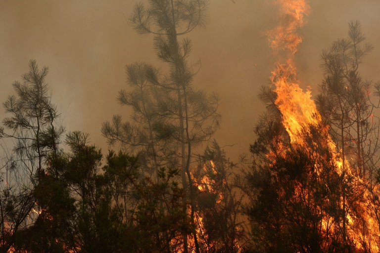 Les gros incendies de forêt qui ont frappé la France