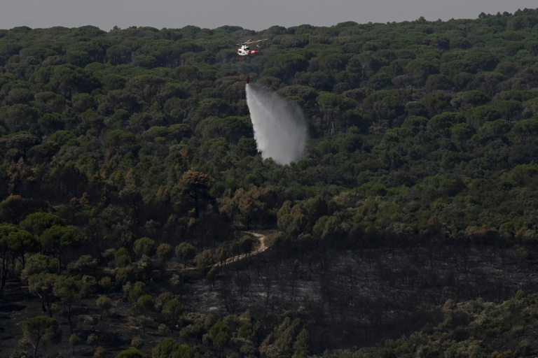 Incendies en Espagne: des milliers de personnes ont regagné leur domicile près de Madrid
