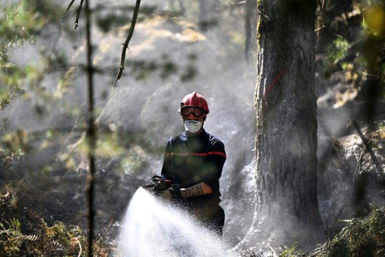 Reprise de feu en forêt de Fontainebleau, 7 hectares brûlés