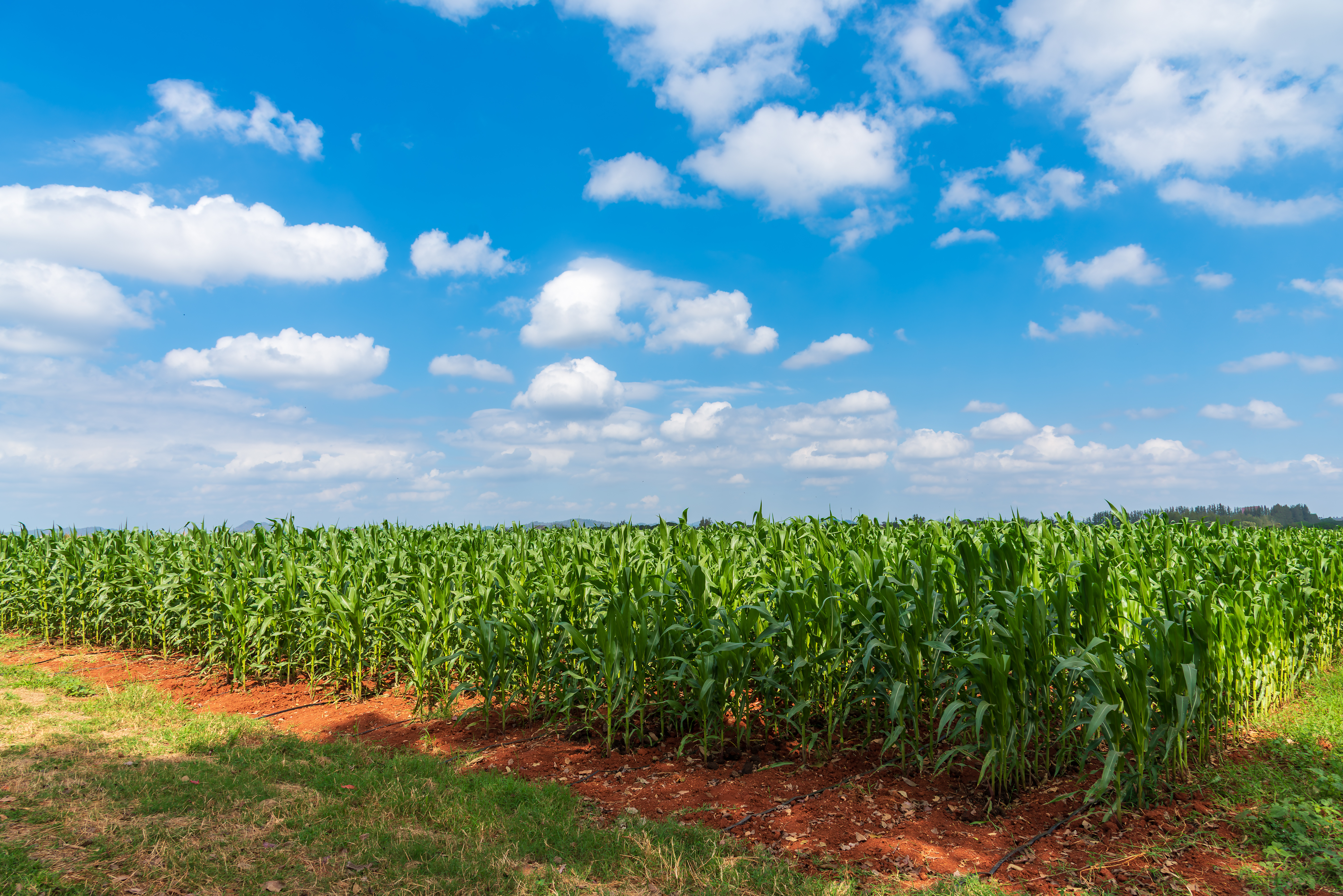 Haudivillers célèbre le monde agricole avec Haudi Campagne