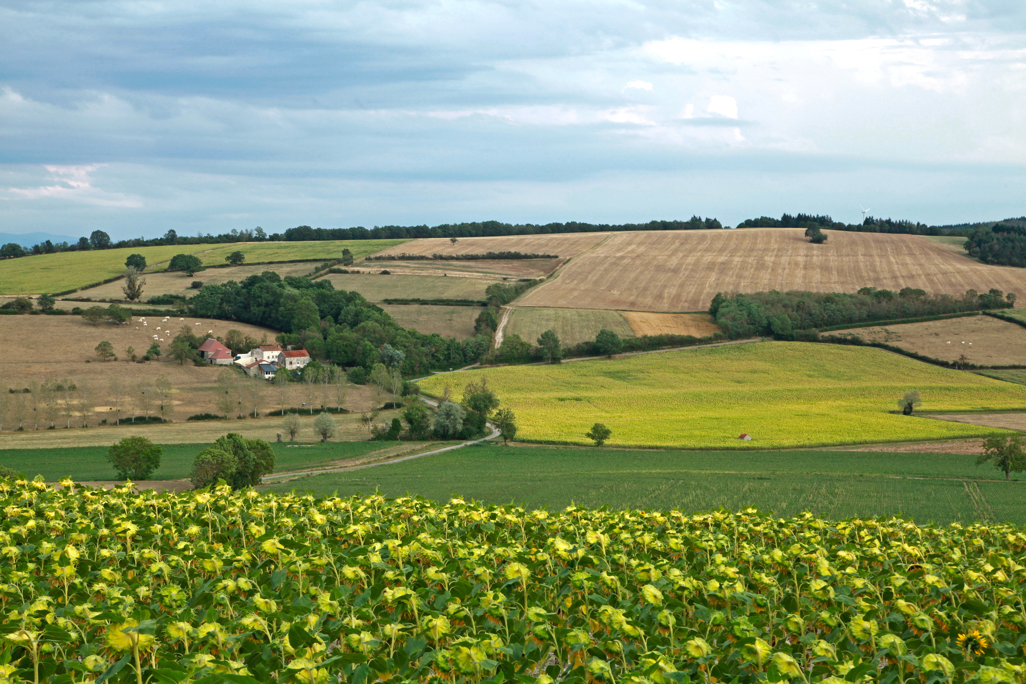 Meuse : les agriculteurs gagnent deux ans pour leurs prairies