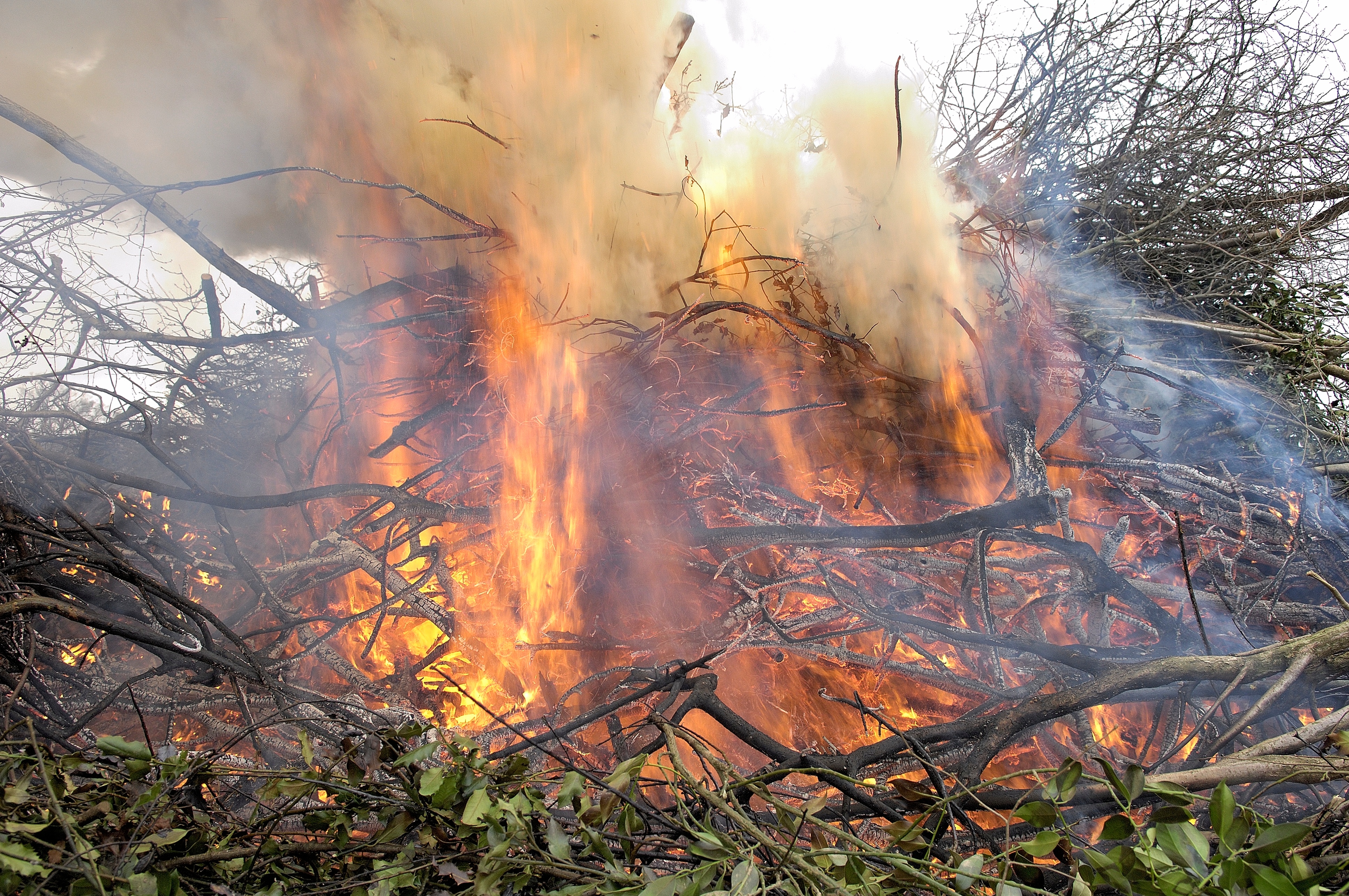 Bourgogne : les 4 départements passent en risque élevé de feux de forêts