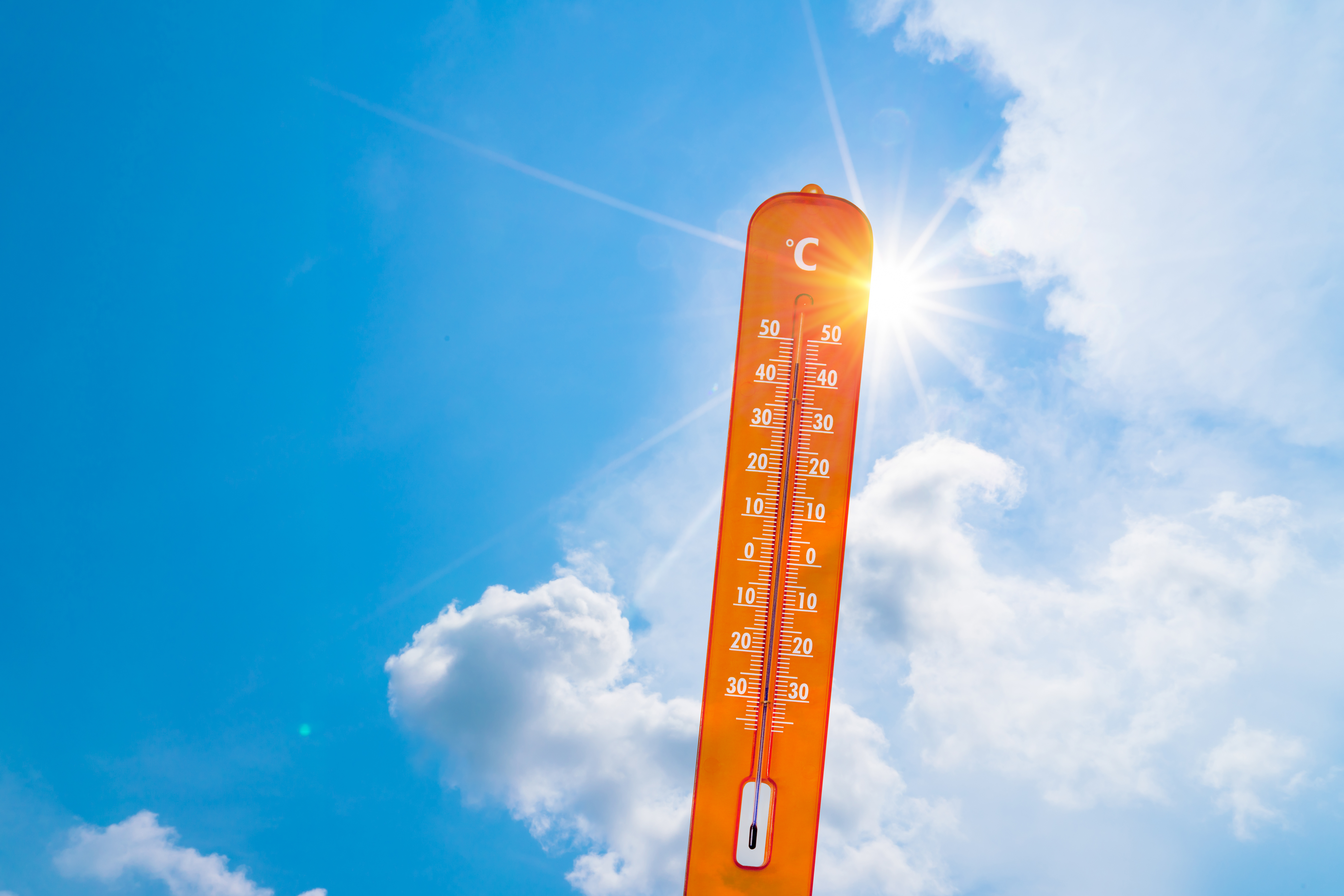 Canicule : la Bourgogne-Franche-Comté renforce sa vigilance dans 4 départements