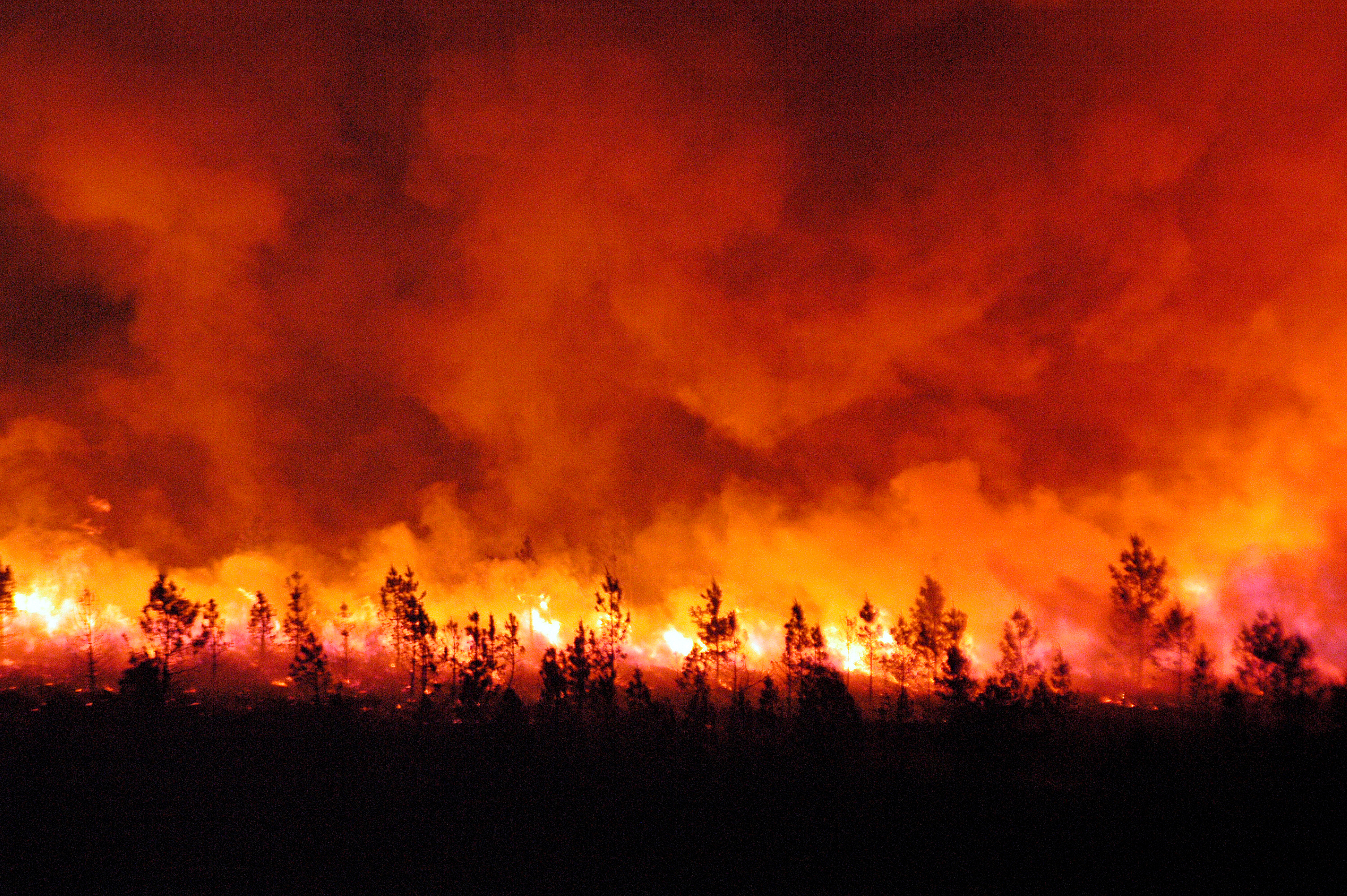 Incendies : Les Entrepreneurs Côte-d'Or mobilisés auprès des entreprises