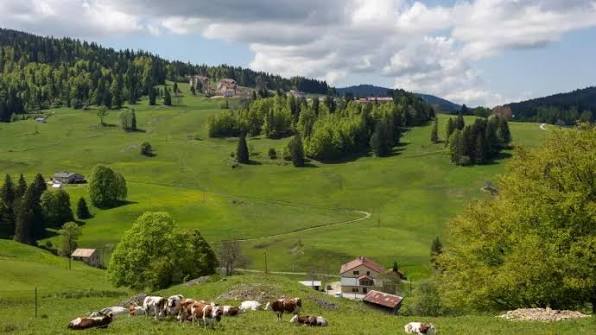 La Bourgogne-Franche-Comté porte la DJA à 65 000 € pour attirer plus de jeunes agriculteurs