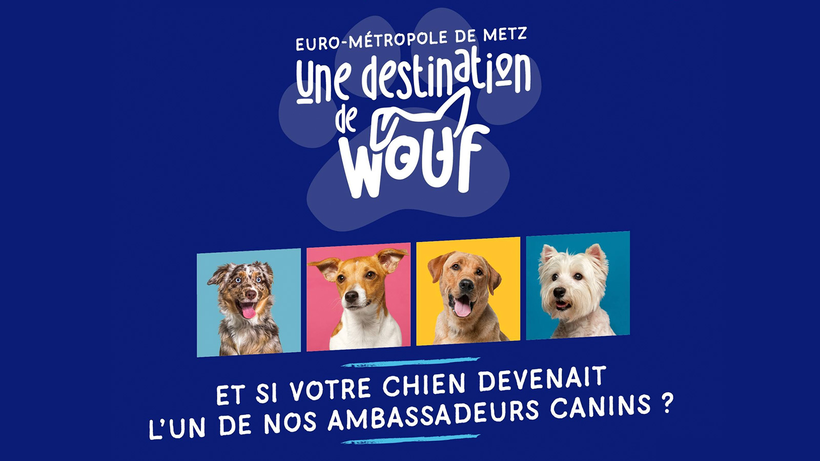 Un grand casting lancé pour trouver les futurs ambassadeurs canins de l’Euro-Métropole de Metz