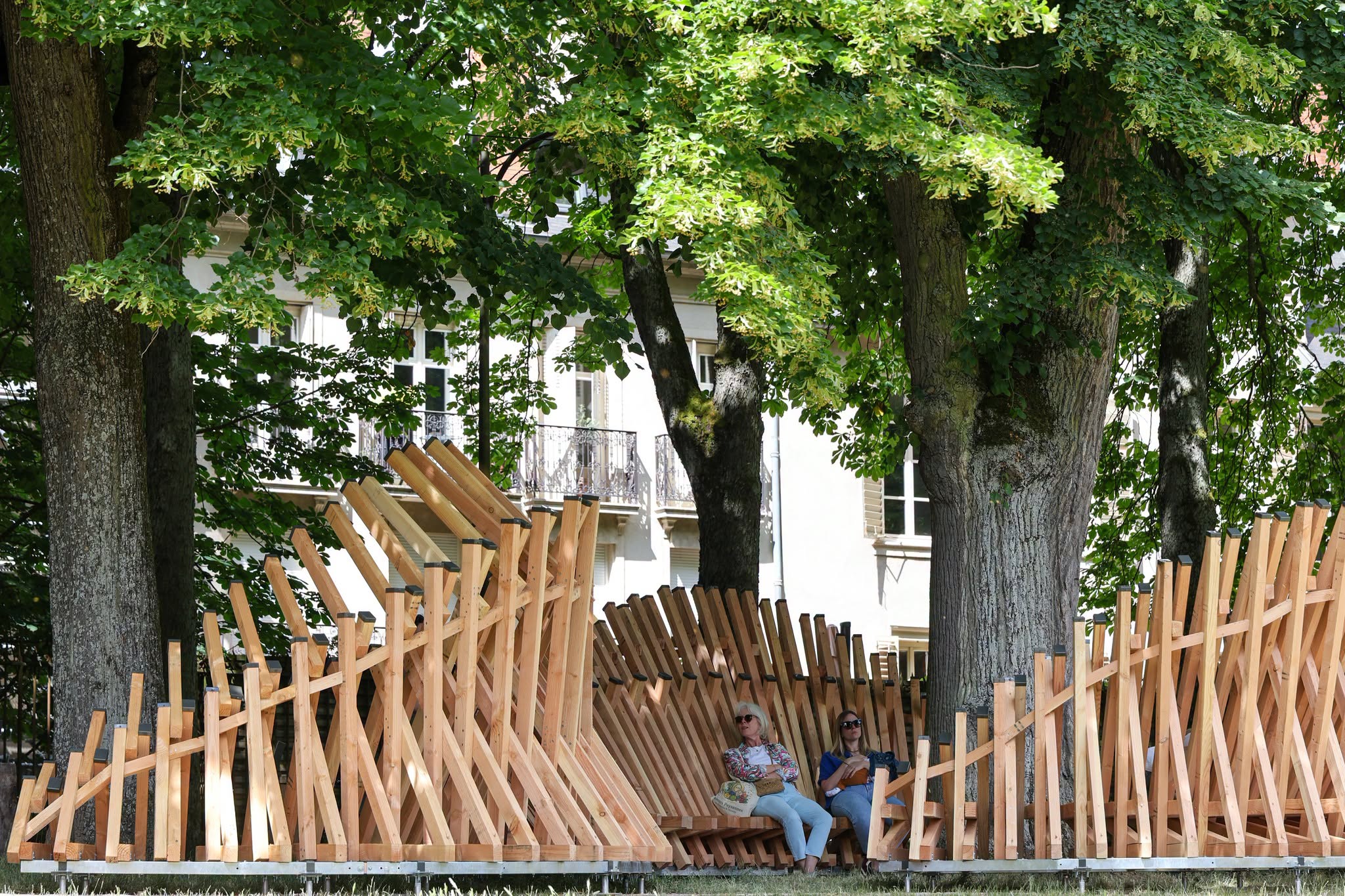 Embranchements, le festival de l’arbre revient début septembre à Nancy