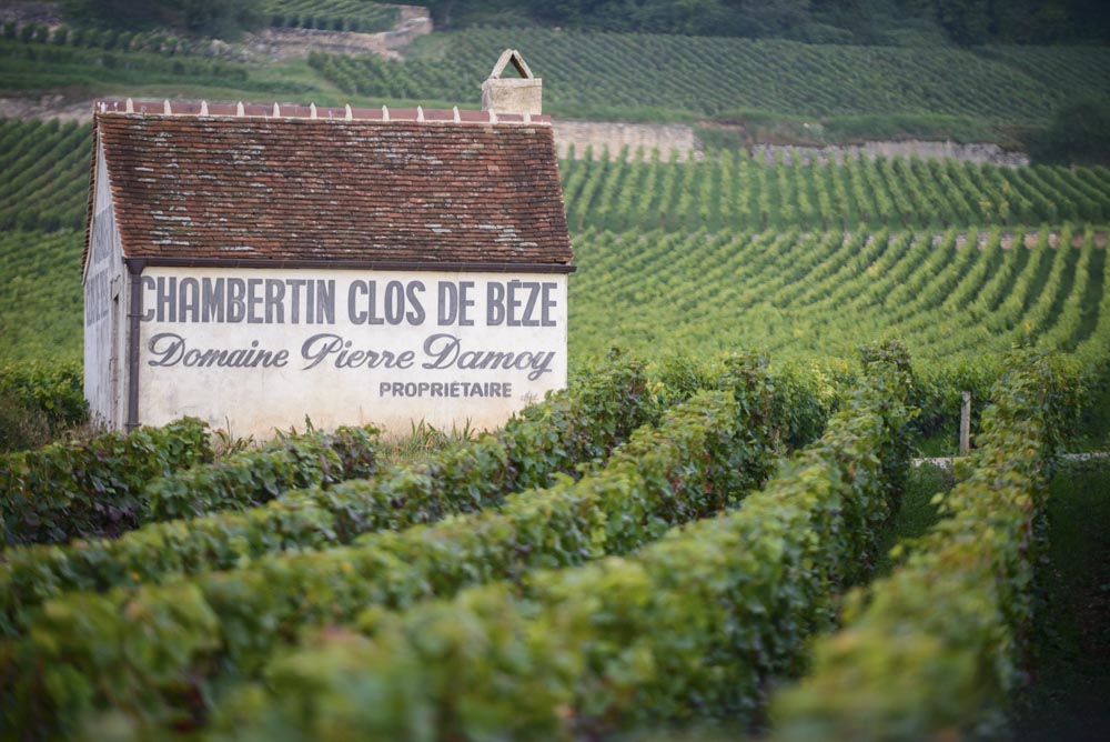 Gevrey-Chambertin : Le Domaine Pierre Damoy passe sous le contrôle de la Maison Louis Roederer