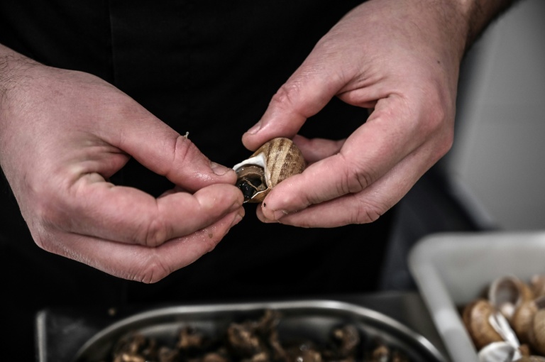 En Bourgogne, les éleveurs d'escargots 