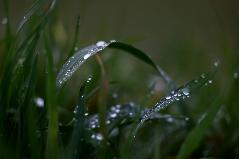 Autour d'Evian, 30 ans d'adaptation des pratiques agricoles pour protéger l'eau minérale