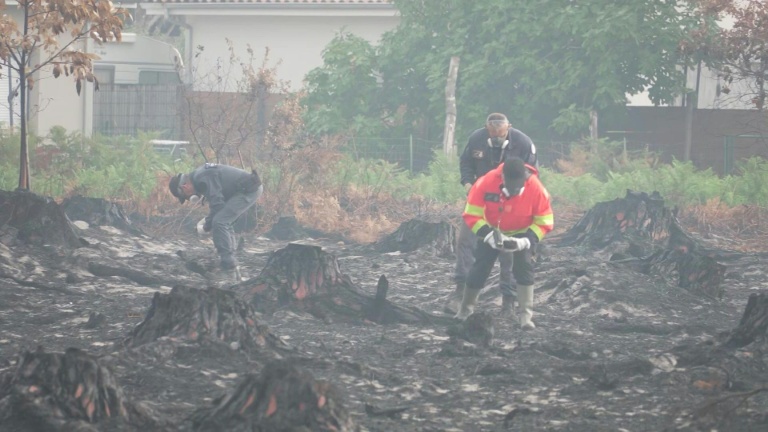 Gironde: le mégafeu révèle des obus de la Seconde Guerre mondiale, déminage au Porge